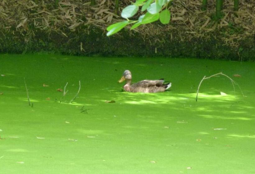 Номер Стандарт, Les Chambres D Ausilia