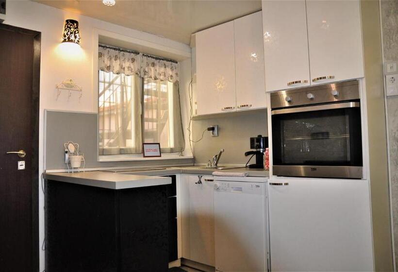 带1个卧室的公寓, Ema Artistic House