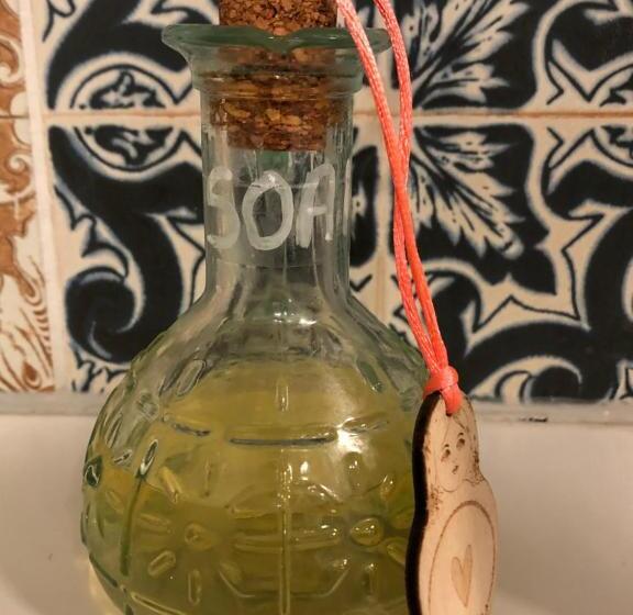 דירת חדר, Silly S Inn