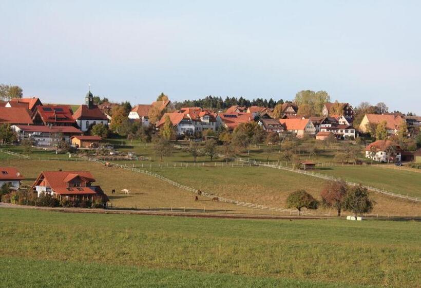 חדר סטנדרט עם מרפסת, Landhotel Traube