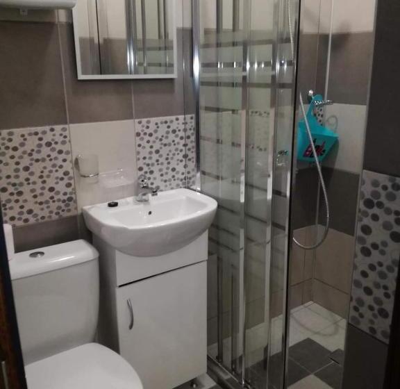 1ベッドルームアパートメント, Saraya