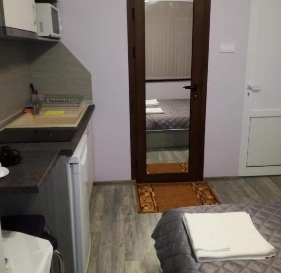 1ベッドルームアパートメント, Saraya