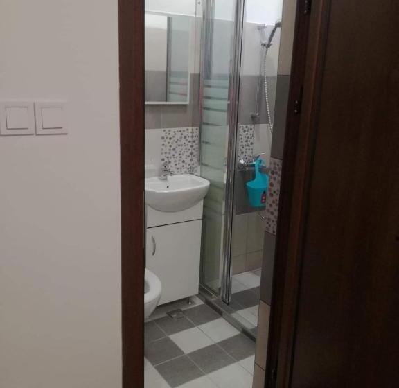 1ベッドルームアパートメント, Saraya