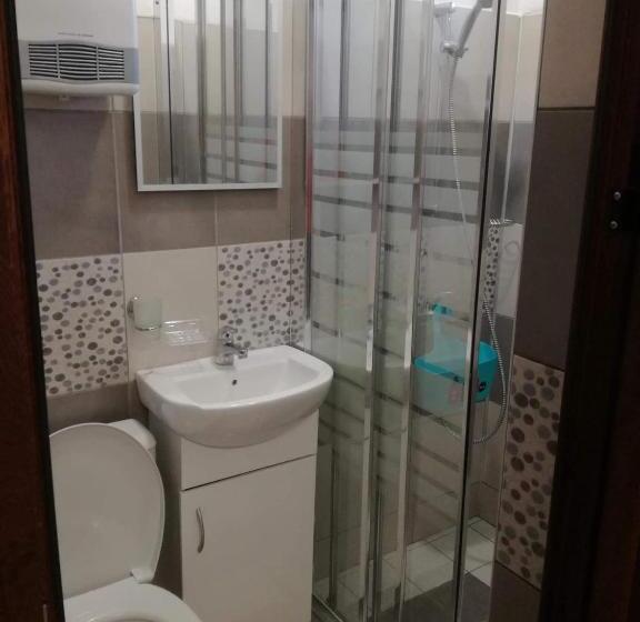 1ベッドルームアパートメント, Saraya