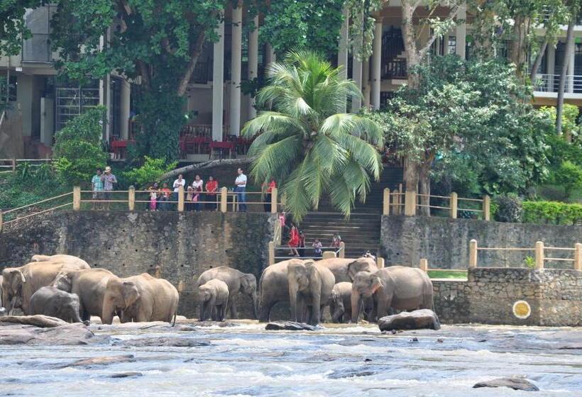 Номер Superior Одноместный, Elephant Bay