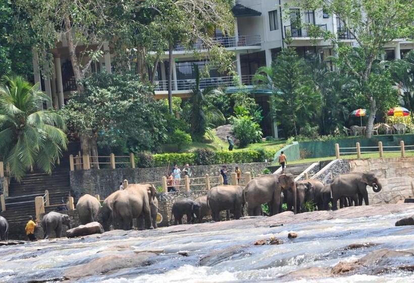 Трехместный Номер Superior, Elephant Bay