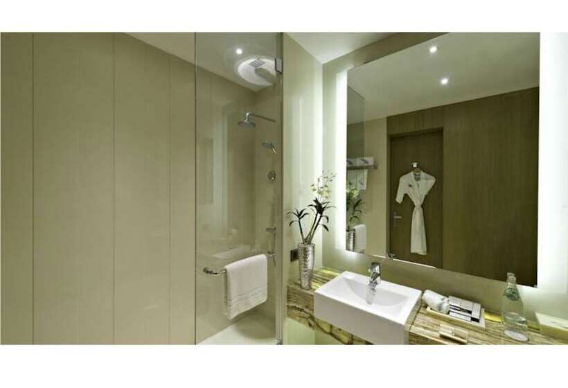 اتاق استاندارد, Meluha The Fern