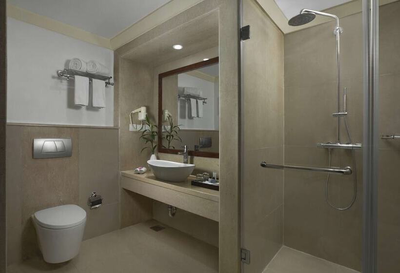 Camera Superiore, Radisson Blu Resort, Goa