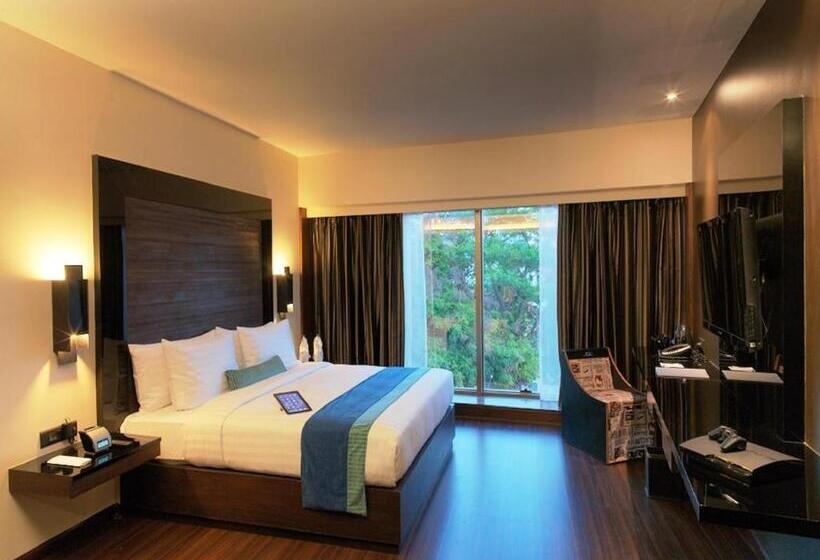 سوییت اجرایی, Svenska Design Hotel, Electronic City, Bangalore