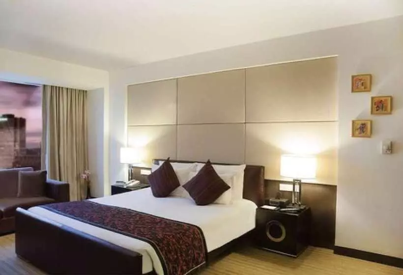 ビジネスルーム, Radisson Blu Hotel Pune Kharadi