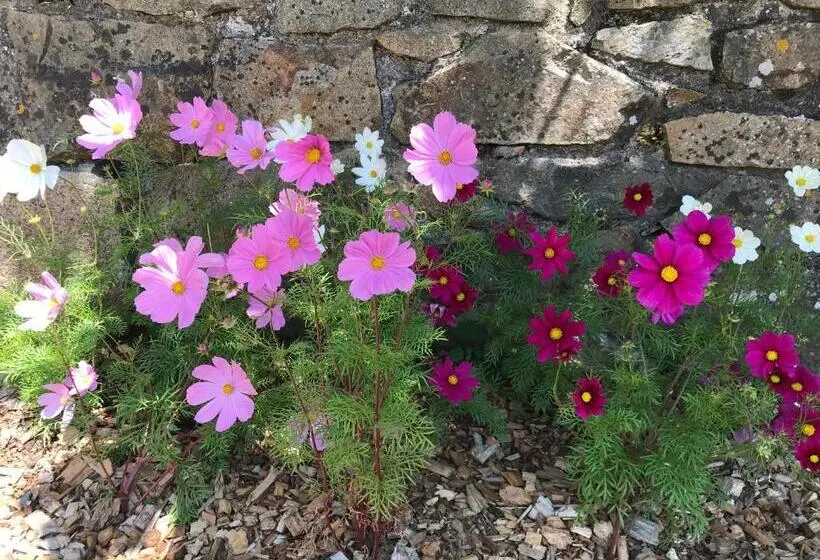 スイート（家族用）, Manoir Des Petites Bretonnes