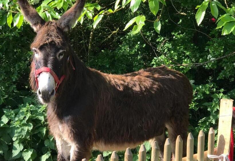 جناح عائلي, Manoir Des Petites Bretonnes