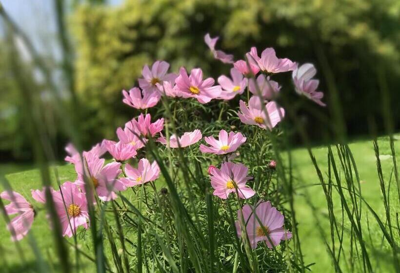 غرفة قياسية مطلة على المتنزه, Manoir Des Petites Bretonnes
