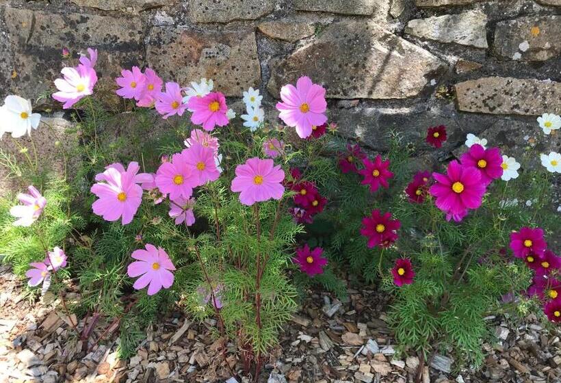 شقة غرفة واحدة, Manoir Des Petites Bretonnes