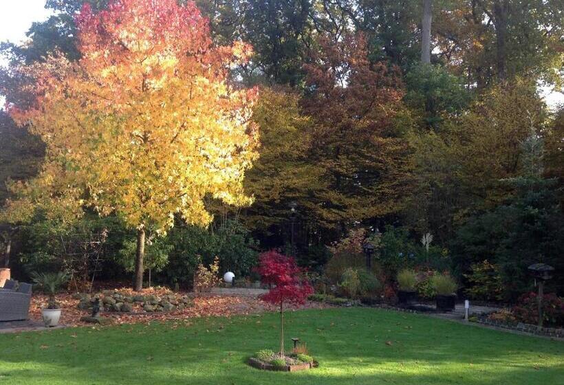 标准间, Haus Drossel