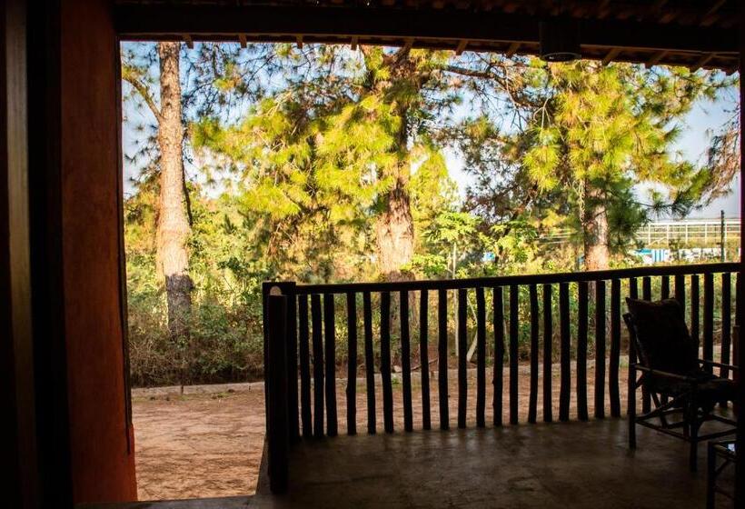 침실 1개 테라스 아파트, Pousada Chalés Da Felicidade