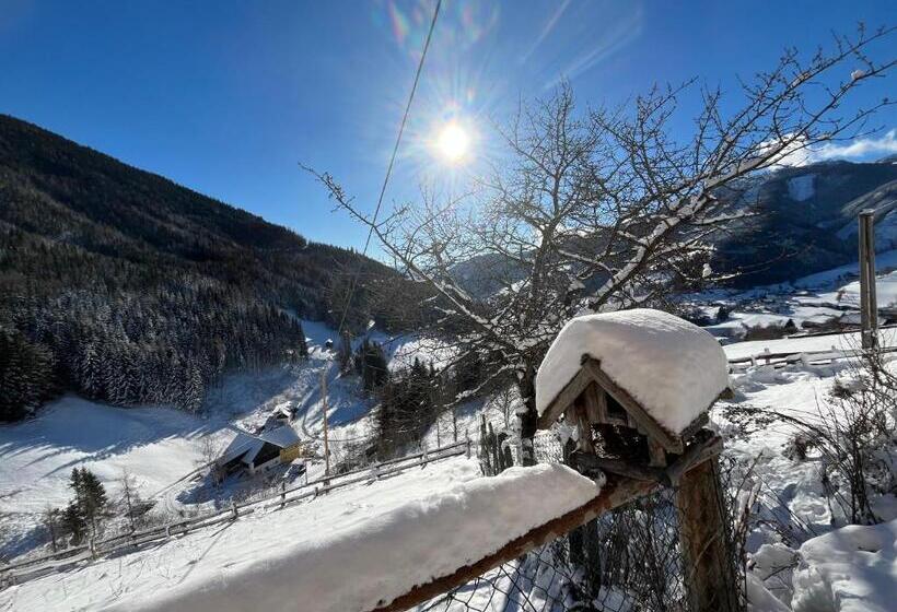 شقة غرفة واحدة ذات إطلالة, Ferienwohnung Biohof Laußnitzer In Rennweg