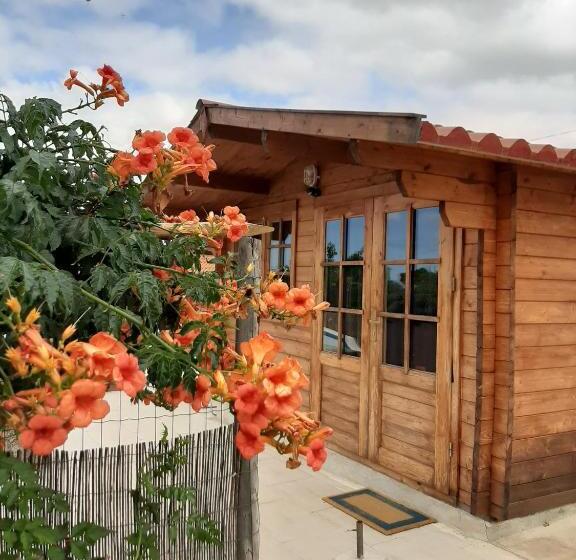 Бунгало Стандарт, Quinta Do Pinheiro