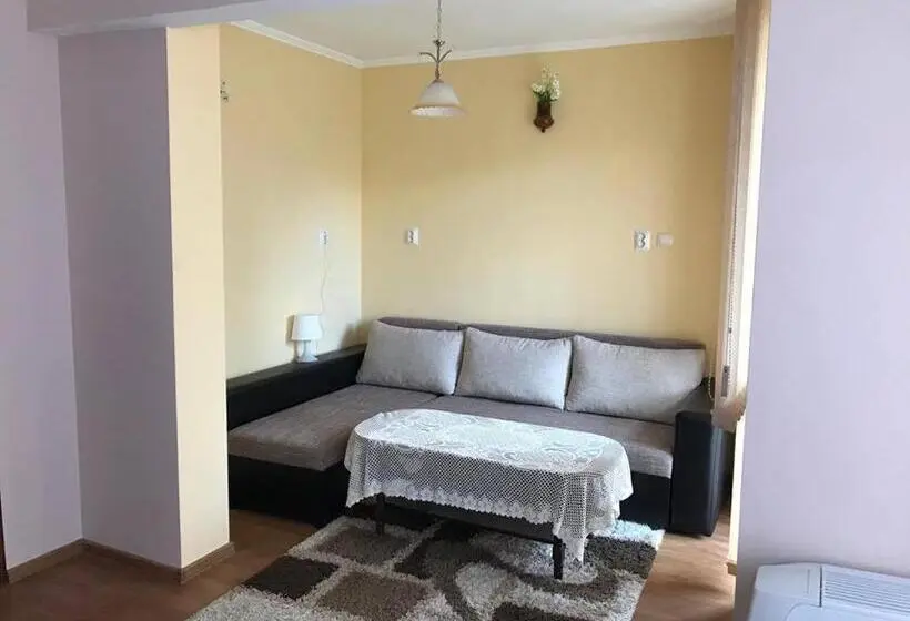 スタンダード４人部屋, Guest Rooms Profirov