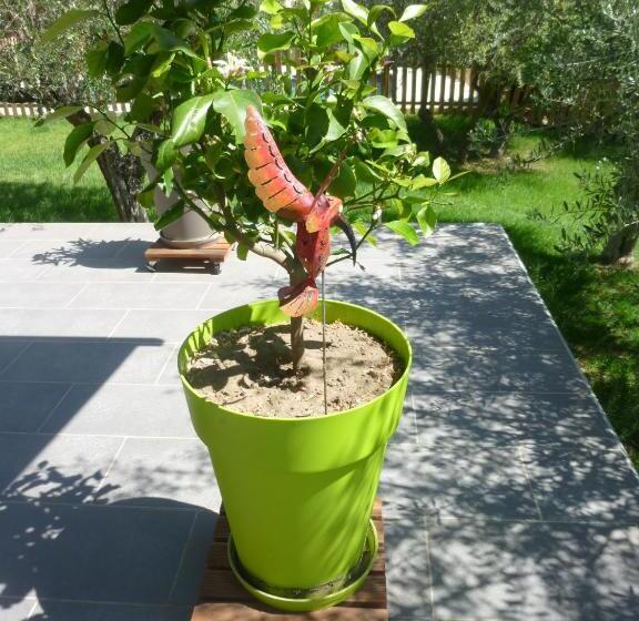 Номер Стандарт Индивидуальный, Le Mas De Tiomka