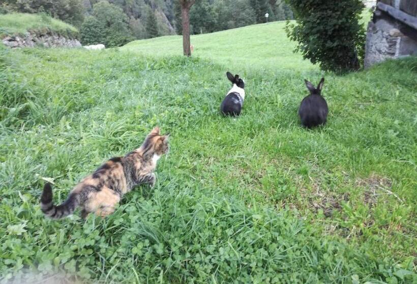 Апартаменты 2 Спальни, Mooslechnerhof