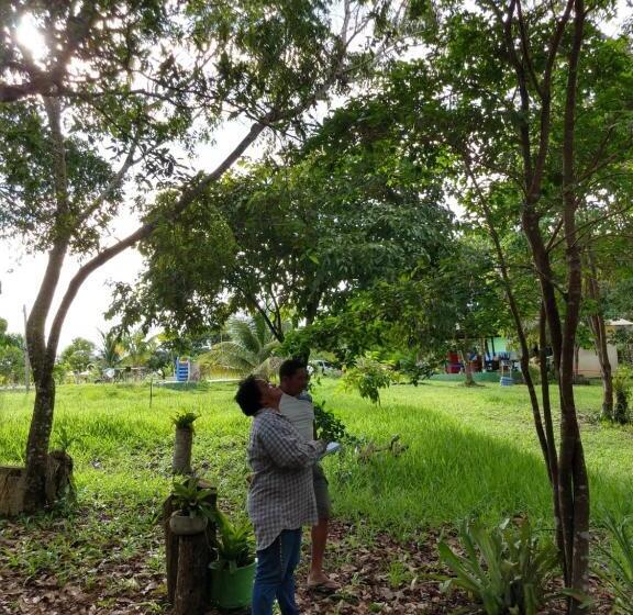 一居室别墅, Chalé Quintal Amazon