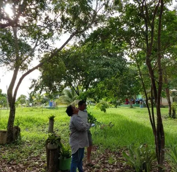 シャレー1寝室, Chalé Quintal Amazon