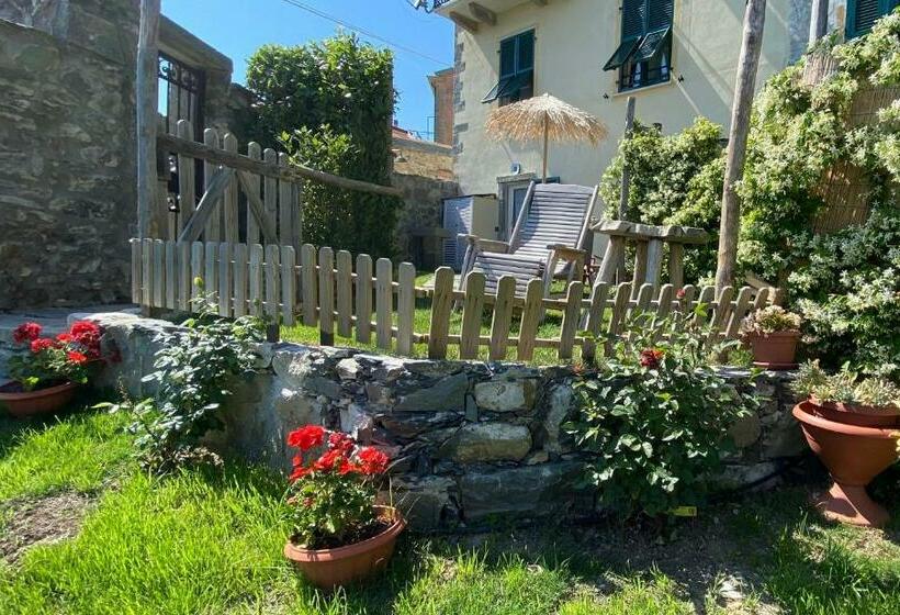 غرفة قياسية, Madüneta 5 Terre