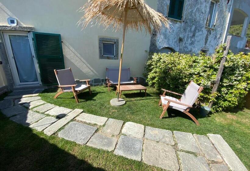 غرفة قياسية, Madüneta 5 Terre