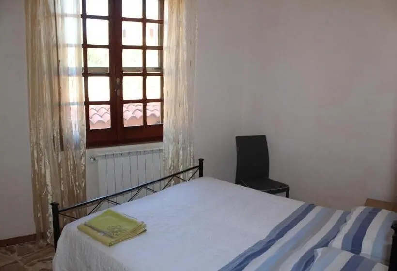 Camera Standard, B&b Sara