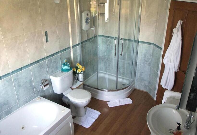 スタンダードルーム, Erw Lon Farm