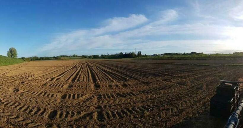 豪华三人间, Agriturismo Podere Dei Kiwi