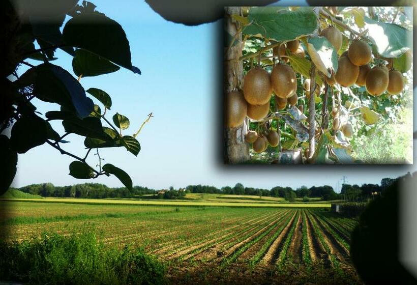 豪华三人间, Agriturismo Podere Dei Kiwi