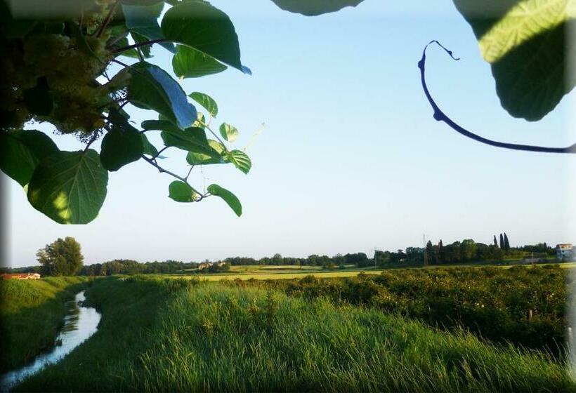 豪华三人间, Agriturismo Podere Dei Kiwi