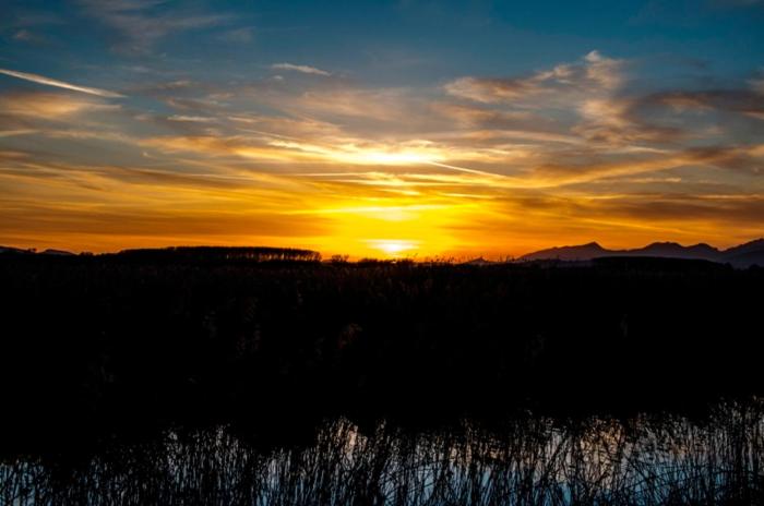 1间卧室的房子, Agriturismo Podere Dei Kiwi