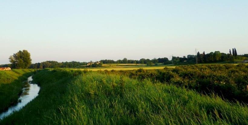 带2个卧室的公寓, Agriturismo Podere Dei Kiwi