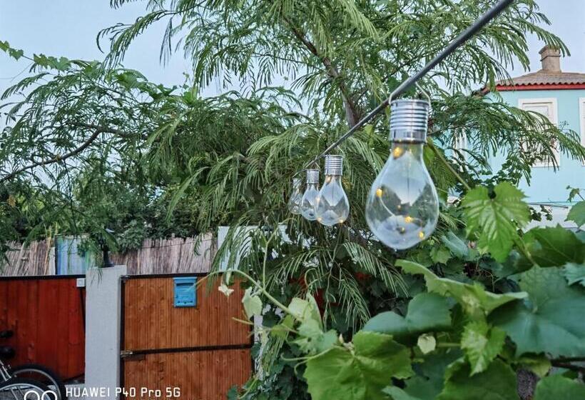 Номер Стандарт, Delta Ca Odinioara