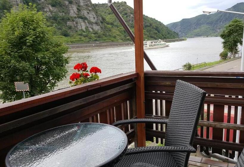 Quarto Estandar, Zur Traube