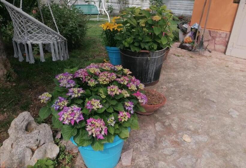 חדר סטנדרט, Aspromonte Yellow House