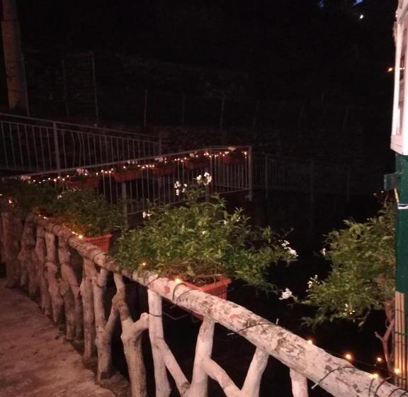 标准间, Ines Apartment