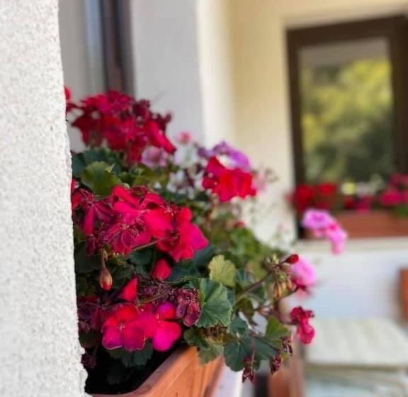 منزل 4 غرف نوم, Kassandrova Guest House & Spa