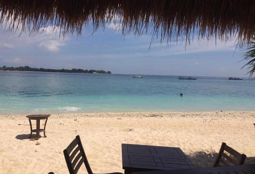 ガーデンビュースタンダードルーム, Meno Classic