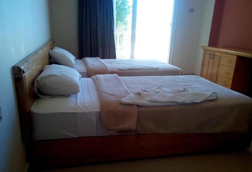 اتاق استاندارد, Dahab