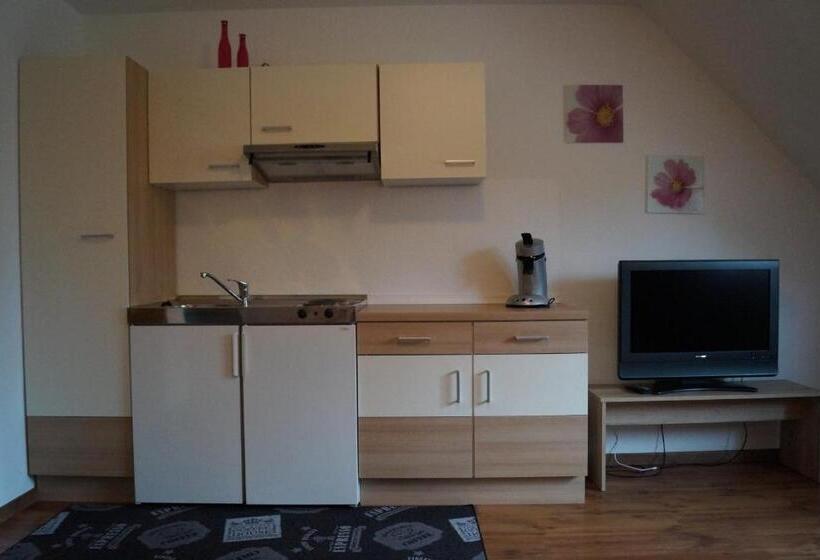 آپارتمان 1 خوابه با چشم‌انداز باغ, Gästehaus Zur Mühle Dehm