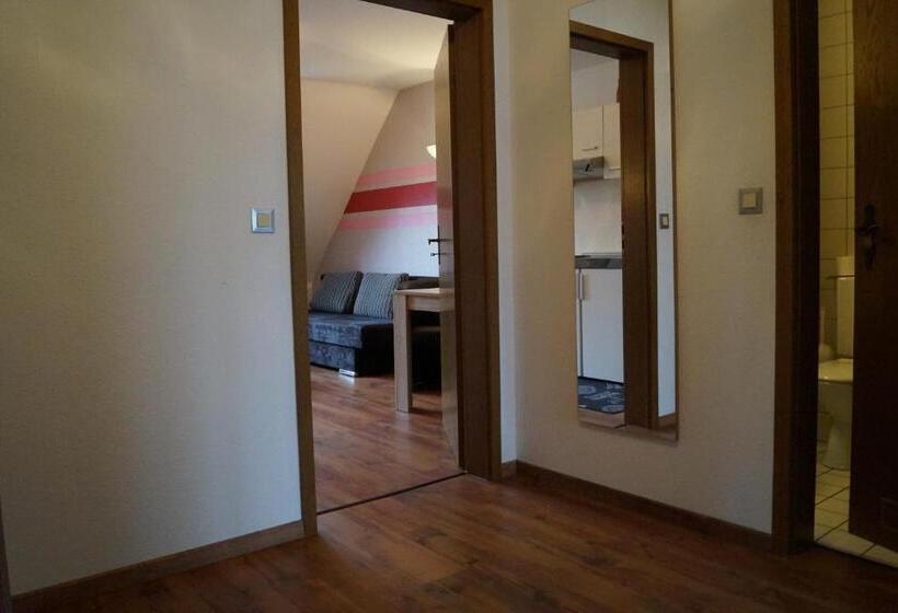 آپارتمان 1 خوابه با چشم‌انداز باغ, Gästehaus Zur Mühle Dehm