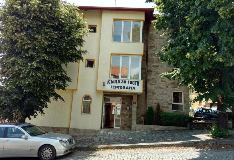 ویلای 1 خوابه, Guest House Gergevana