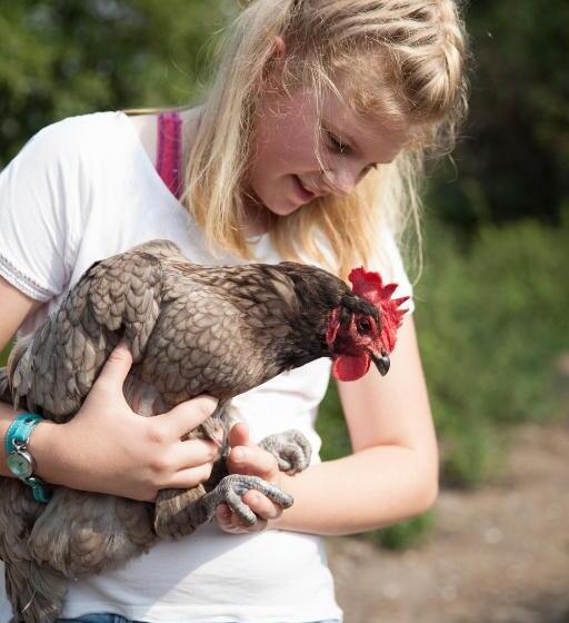 Семейный Номер, La Niche