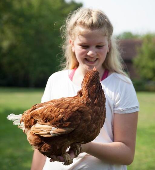 Номер Стандарт Вид на Сад, La Niche