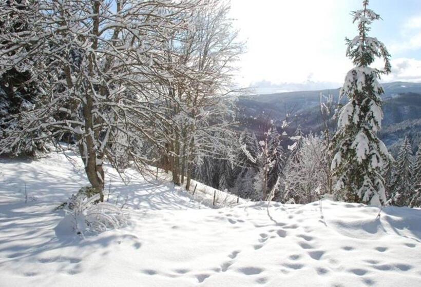 חדר סטנדרט לשלושה, Gästehaus Fridolin