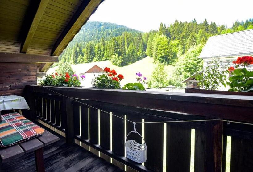 Апартаменты 1 Спальня с Видом, Gailerhof